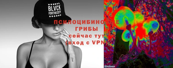 бошки Беломорск