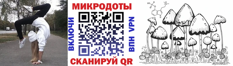 закладка  Реутов  Галлюциногенные грибы прущие грибы 