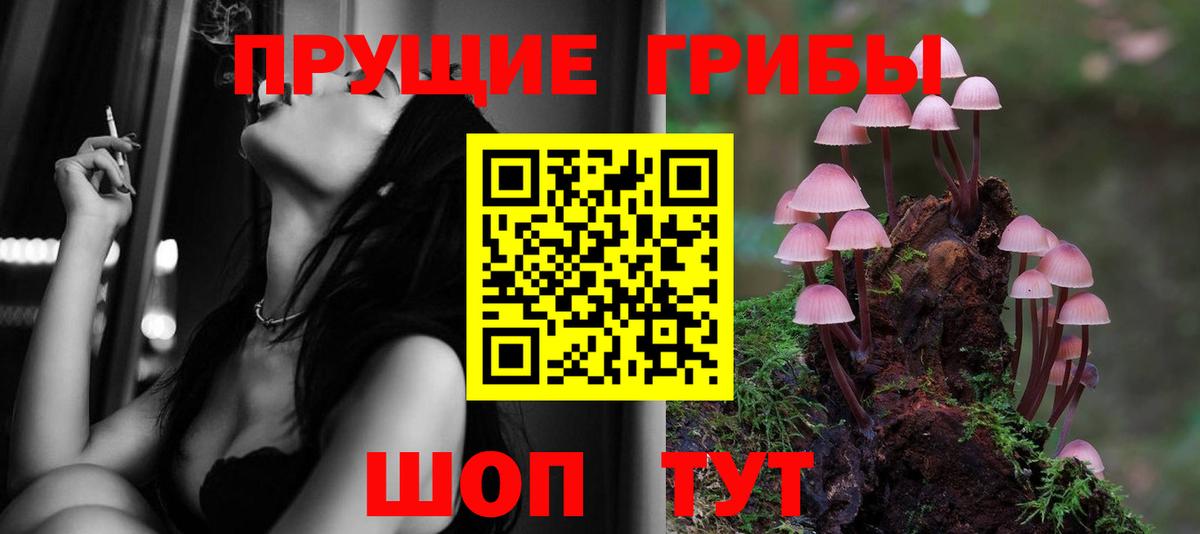 Галлюциногенные грибы прущие грибы  Вход с VPN  Реутов 